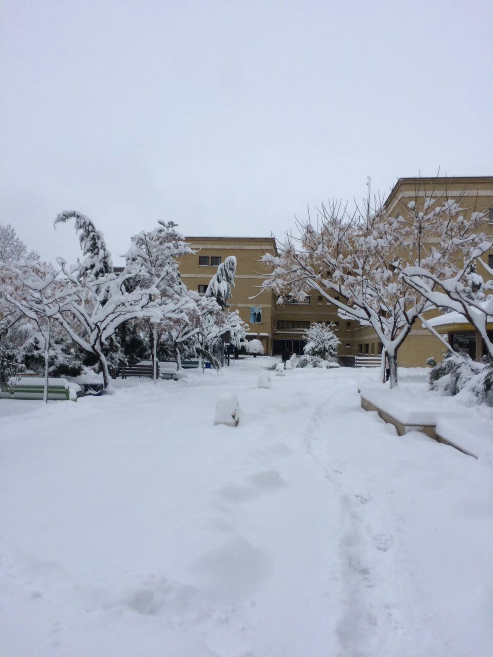 برف مشهد