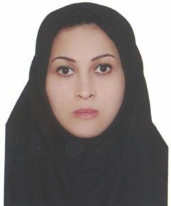 مهندس شادی سپهی