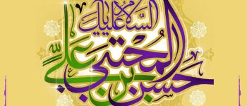 دانشگاه سجاد