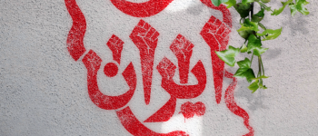 دانشگاه سجاد