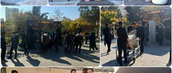 دانشگاه سجاد