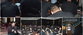 دانشگاه سجاد