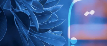 دانشگاه سجاد