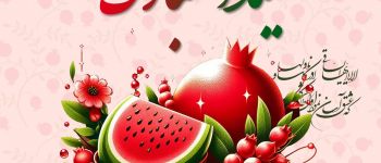 دانشگاه سجاد