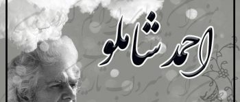 دانشگاه سجاد