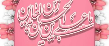 دانشگاه سجاد