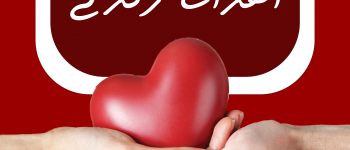 دانشگاه سجاد