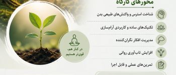 دانشگاه سجاد