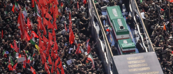 دانشگاه سجاد
