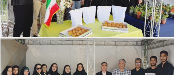دانشگاه سجاد