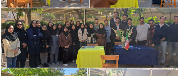دانشگاه سجاد
