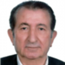 Dr. Naser Ali Mansourian