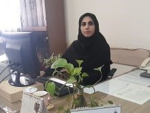 Eng. Hadiseh Khavar